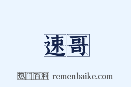 速哥是什么意思的图片